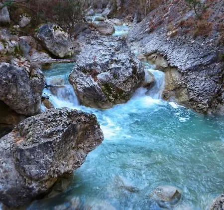 La Salamandre Du Cerisier * Aubignosc