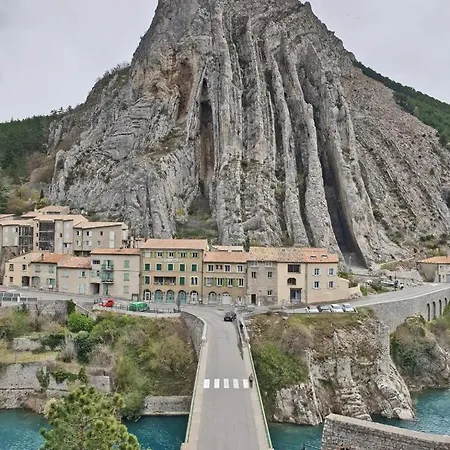 La Salamandre Du Cerisier *