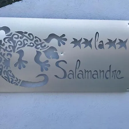 La Salamandre Du Cerisier Villa